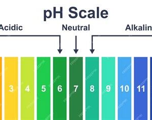 pH Review and Balancing