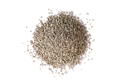 Ajwain Seed