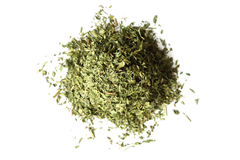 Alfalfa Leaf