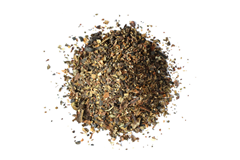 Bladderwrack