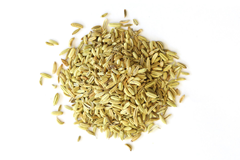 Fennel Seed