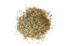Sheep Sorrel