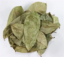 Soursop Leaf