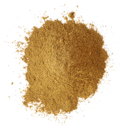 Yellow Dock Root Powder - per oz.